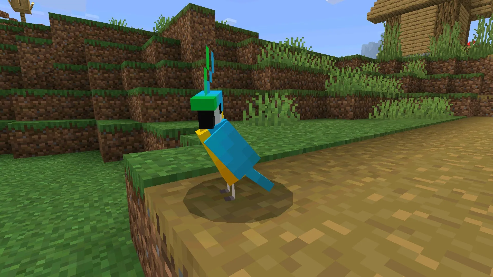 Птичка из мода на попугаев в Майнкрафт ПЕ