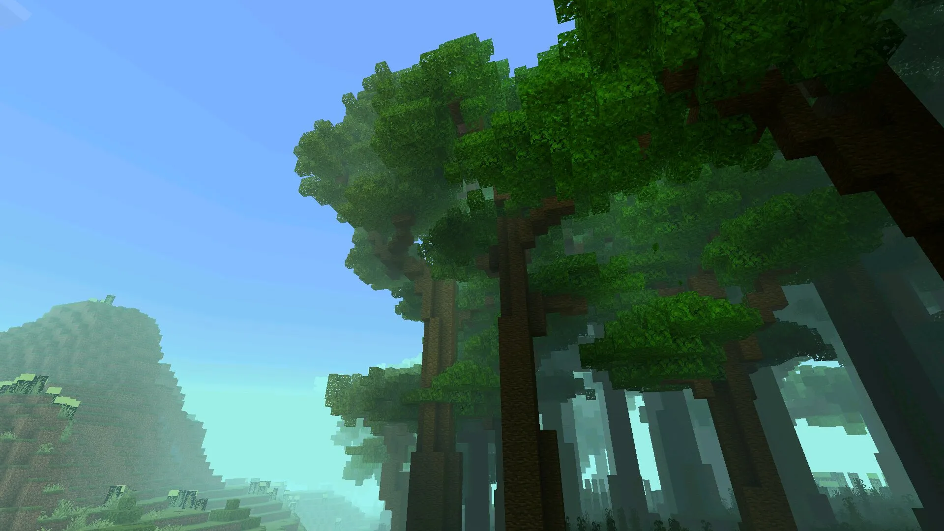 Лес из мода rlcraft в Майнкрафт ПЕ