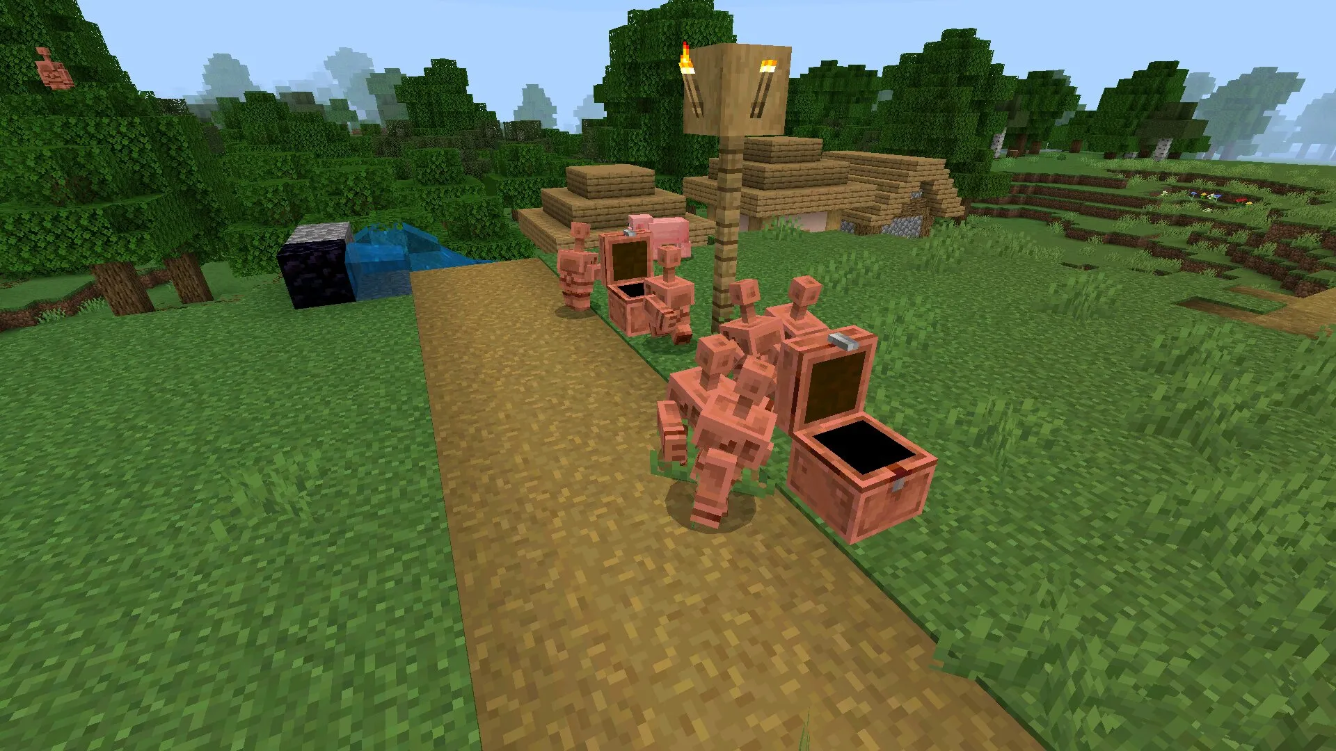 Големы из мода на перемещение предметов в Майнкрафт ПЕ