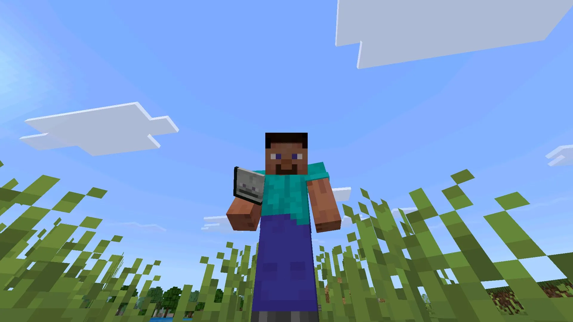 Голова из мода на хардкор в Майнкрафт ПЕ