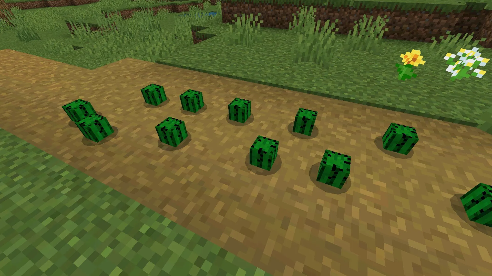Кактусы из мода на падение предметов в Майнкрафт ПЕ