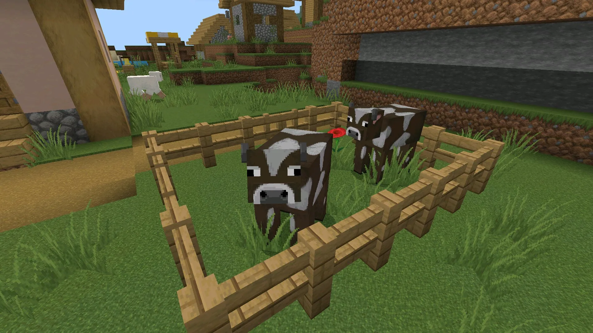 Коровы из текстур Faithful 64 на 64 в Майнкрафт ПЕ