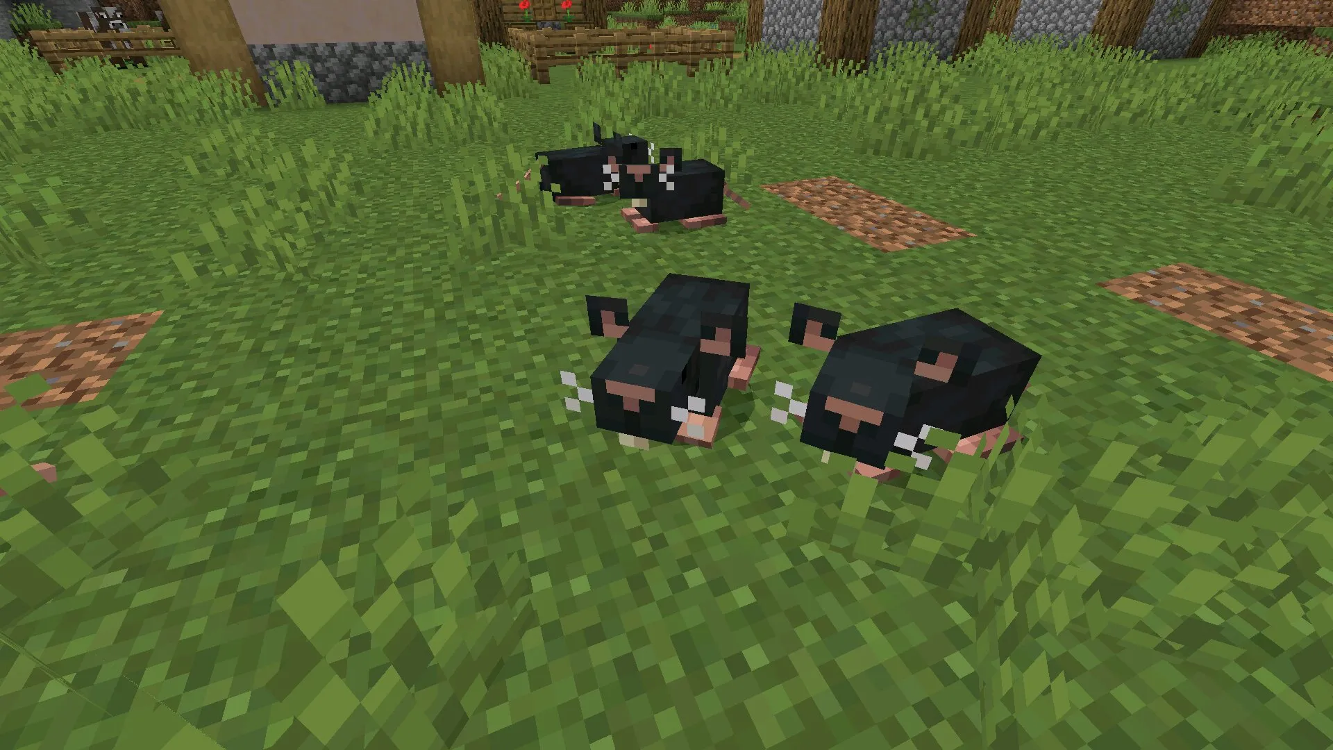 Крысы из мода Naturalist в Майнкрафт ПЕ