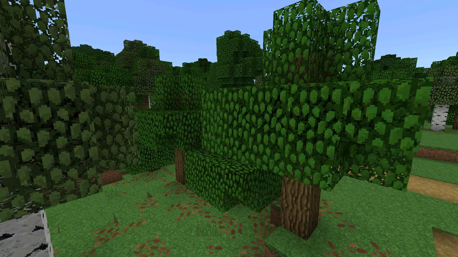 Лес из текстуры classic Faithful в Майнкрафт ПЕ