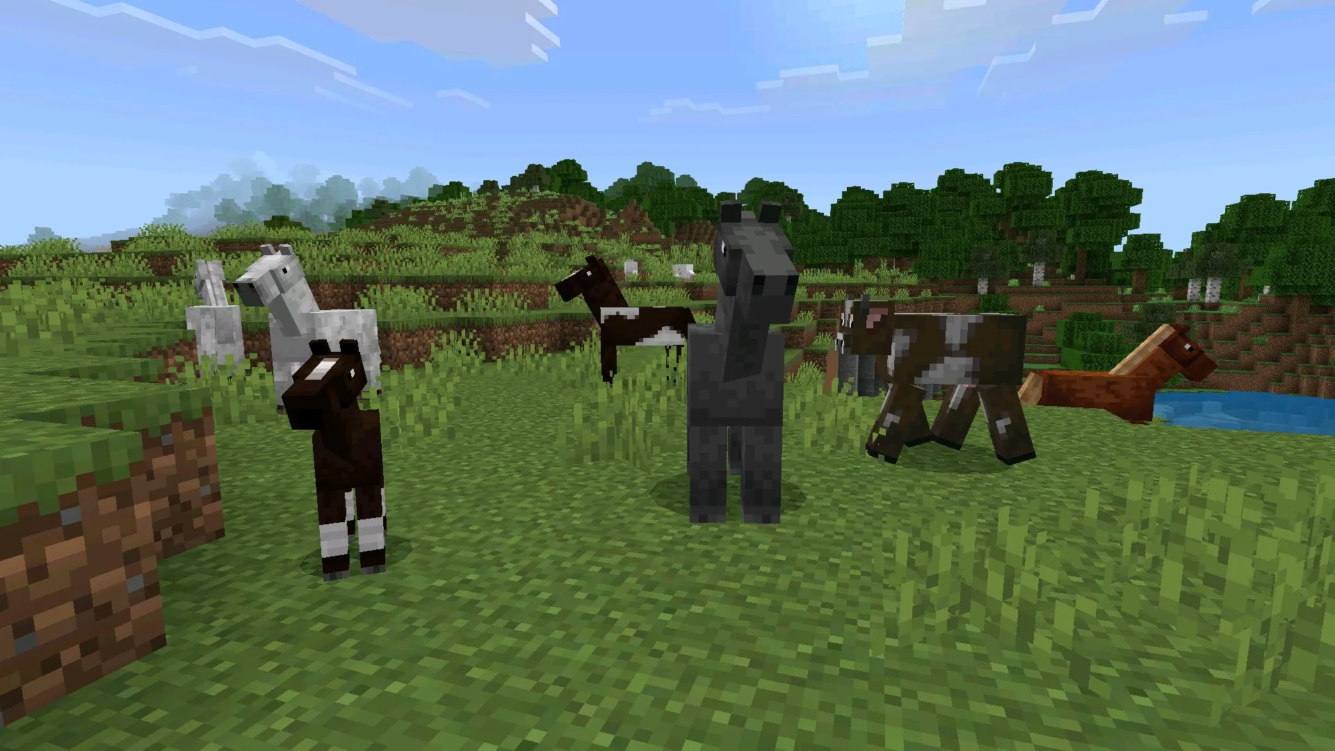 Лошадки из мода на лошадей в Майнкрафт ПЕ