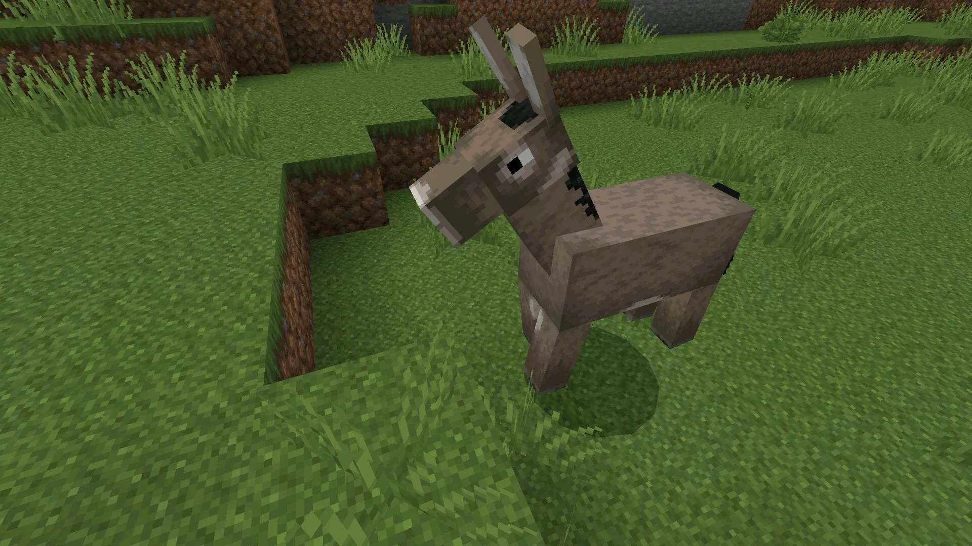 Ослик из текстур Faithful 32 на 32 в Майнкрафт ПЕ