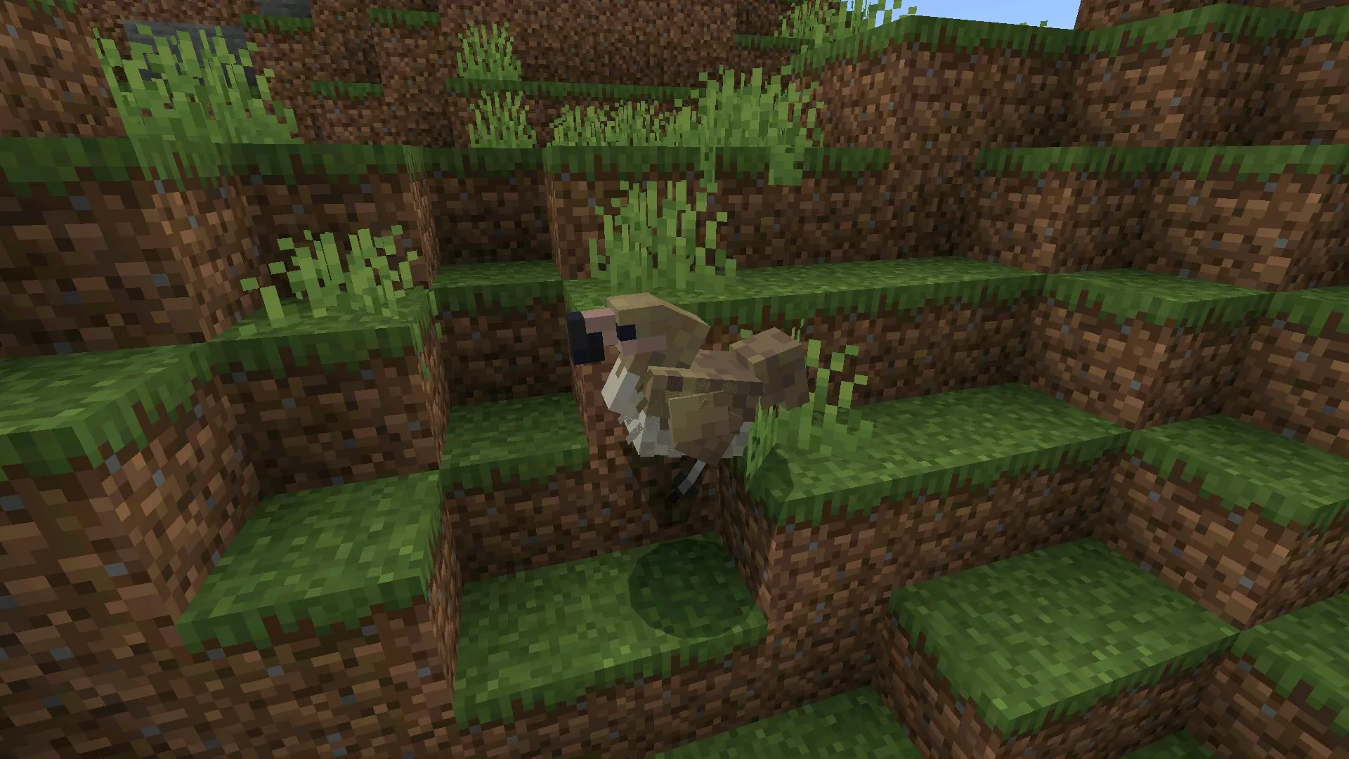 Птица из мода на арк в Майнкрафт ПЕ