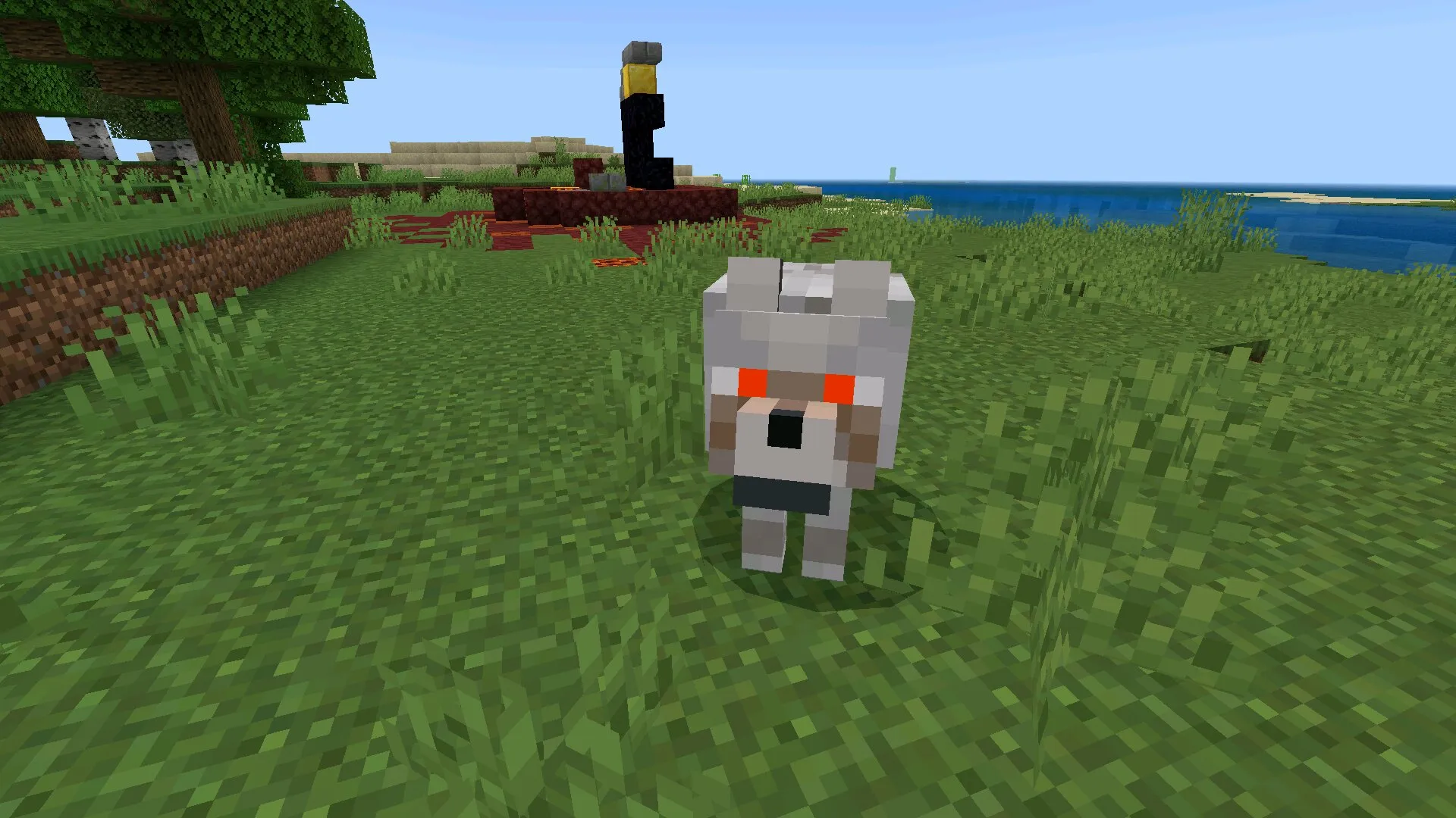 Волк из мода на скинволкера в Майнкрафт ПЕ