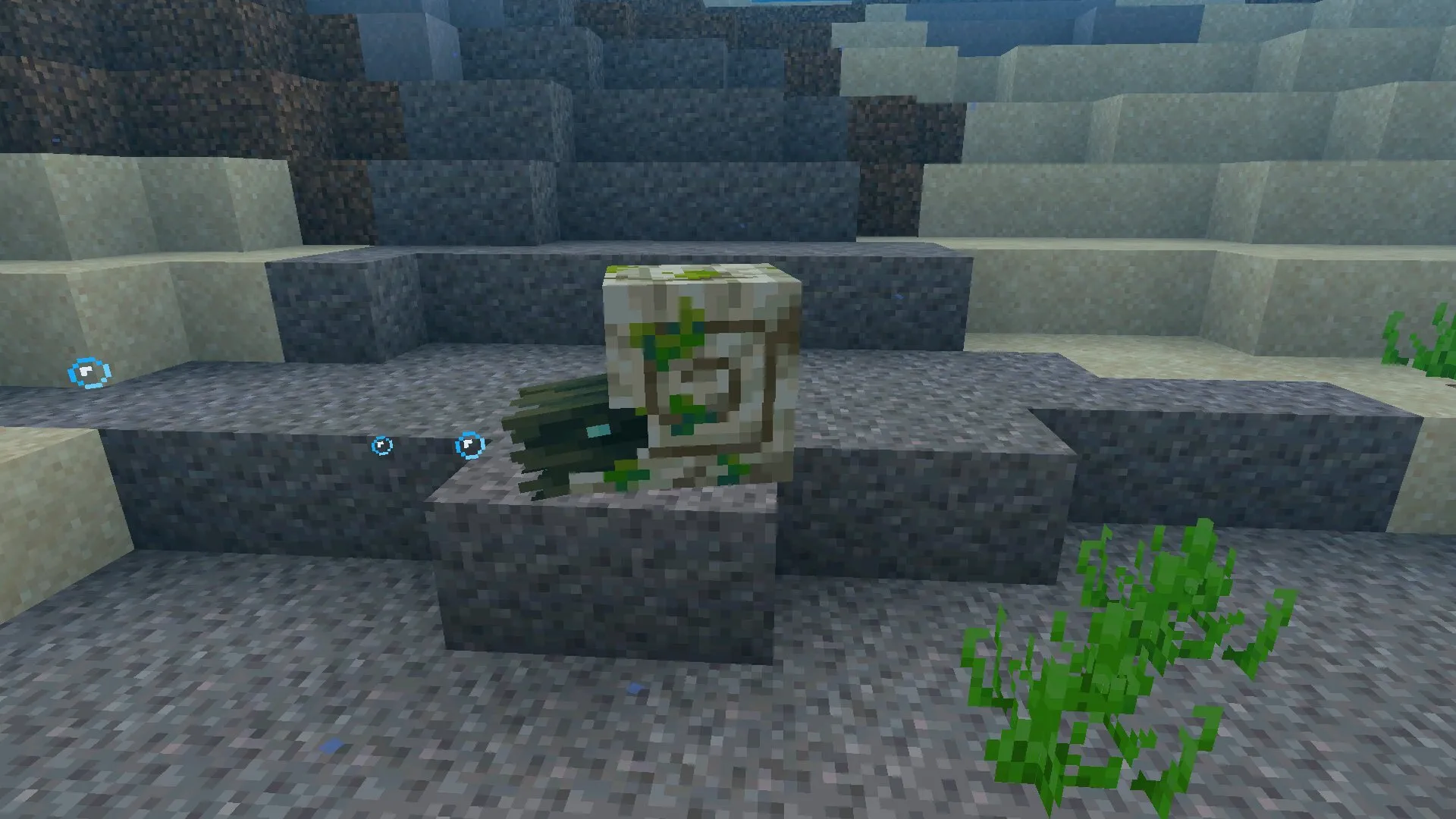 Зомби-наутилус в Майнкрафт 1.21