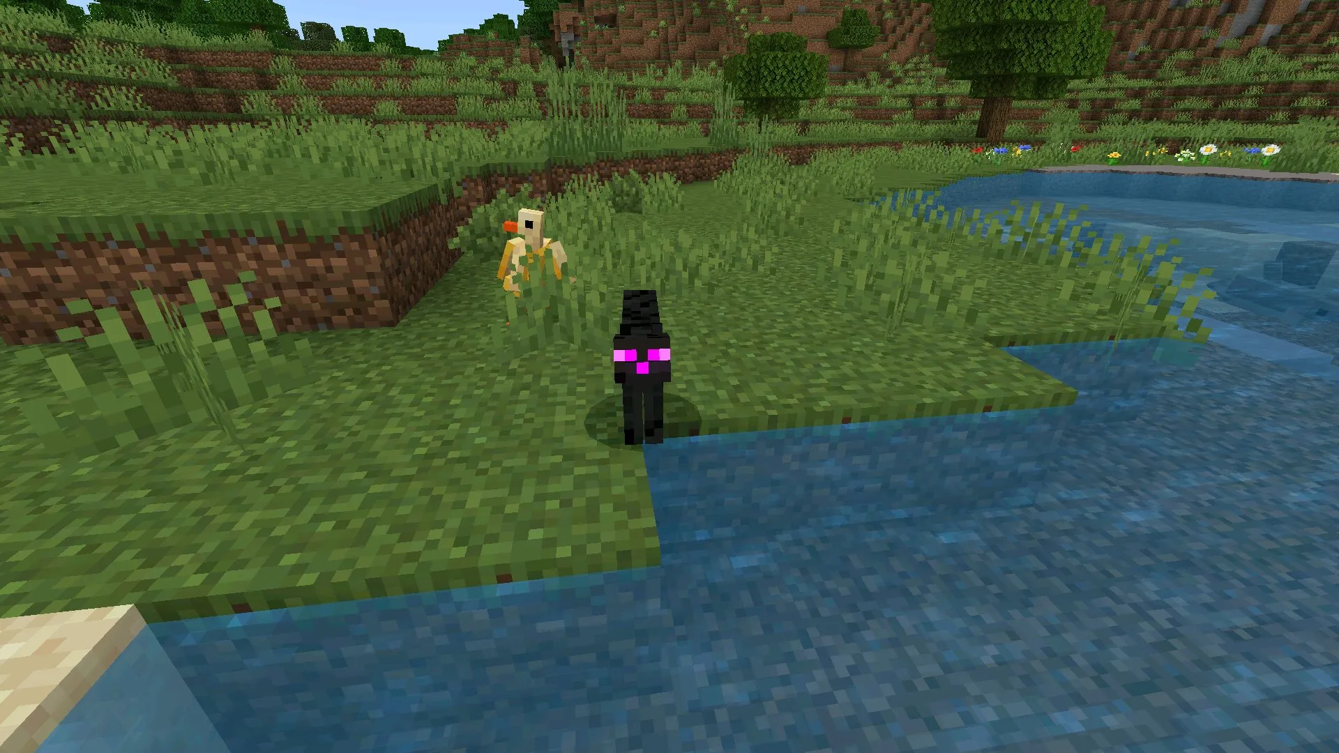 Эндер кот из мода на домашних животных в Майнкрафт ПЕ