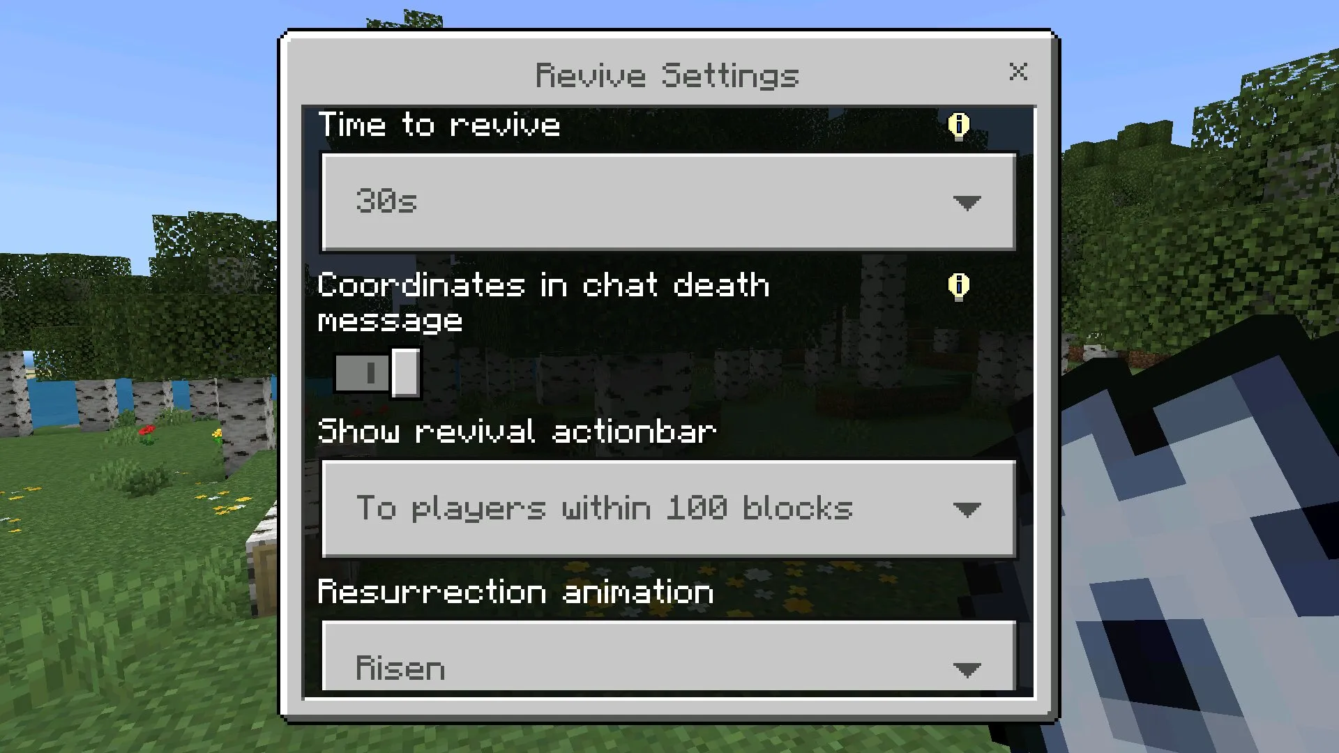 Опции из мода на воскрешение в Майнкрафт ПЕ