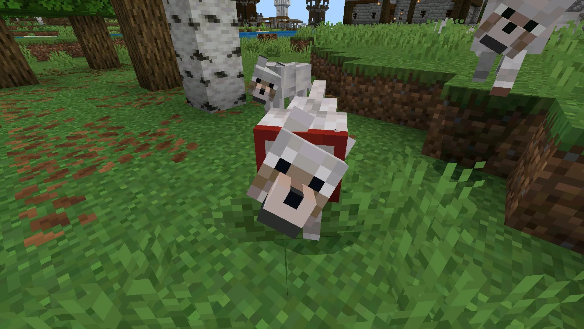 Ошейник из мода на волков в Майнкрафт ПЕ