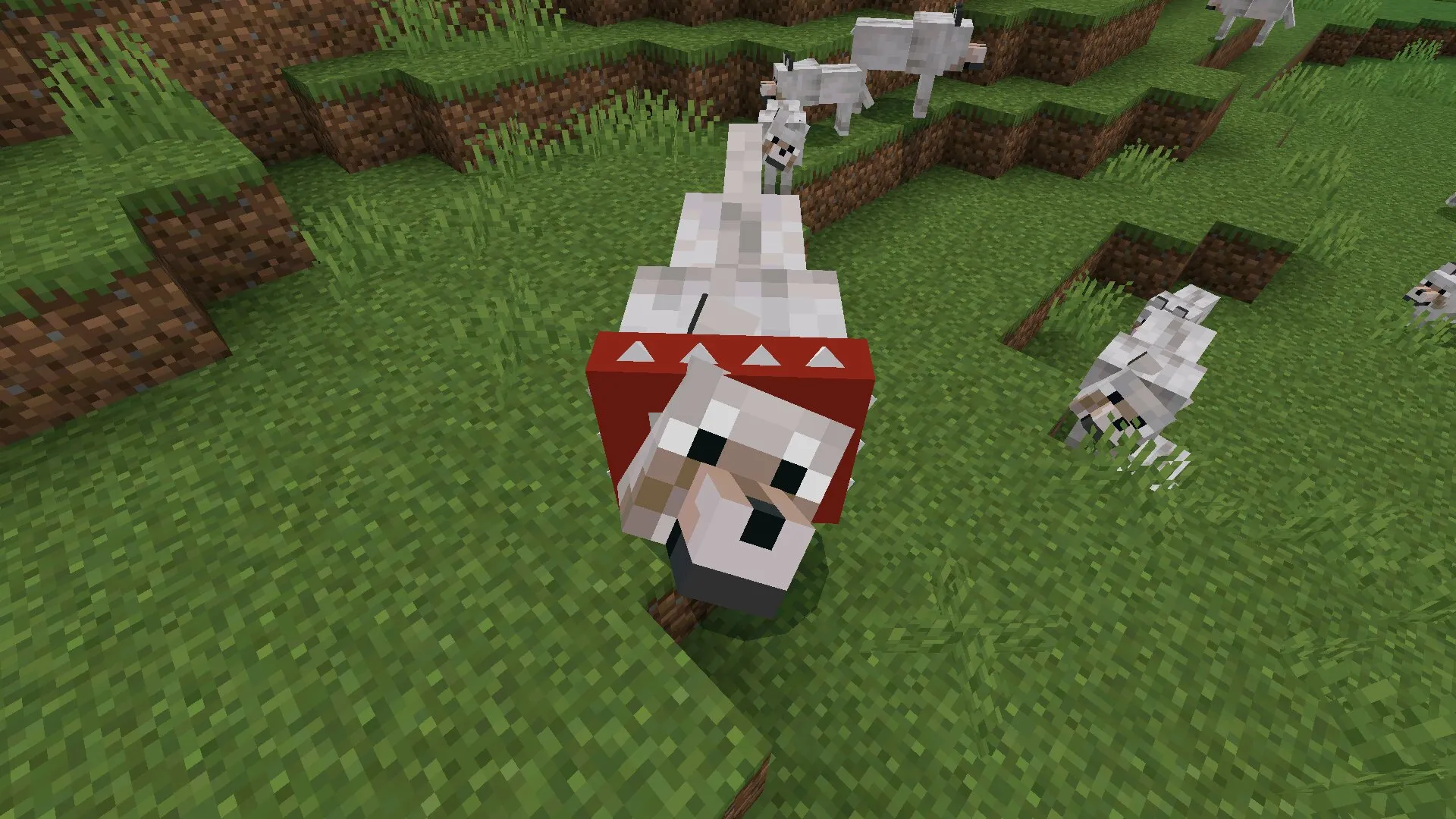 Шипы из мода на волков в Майнкрафт ПЕ