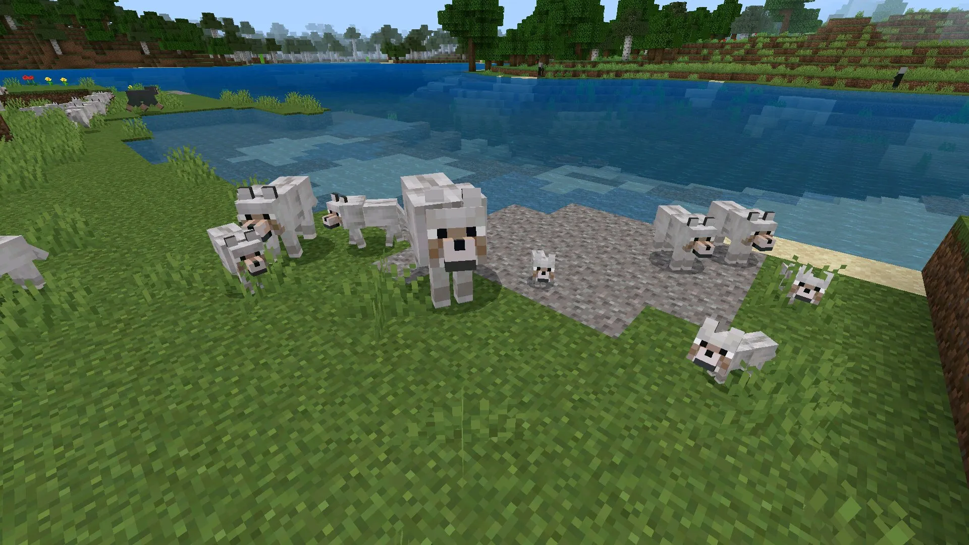 Стая из мода на волков в Майнкрафт ПЕ