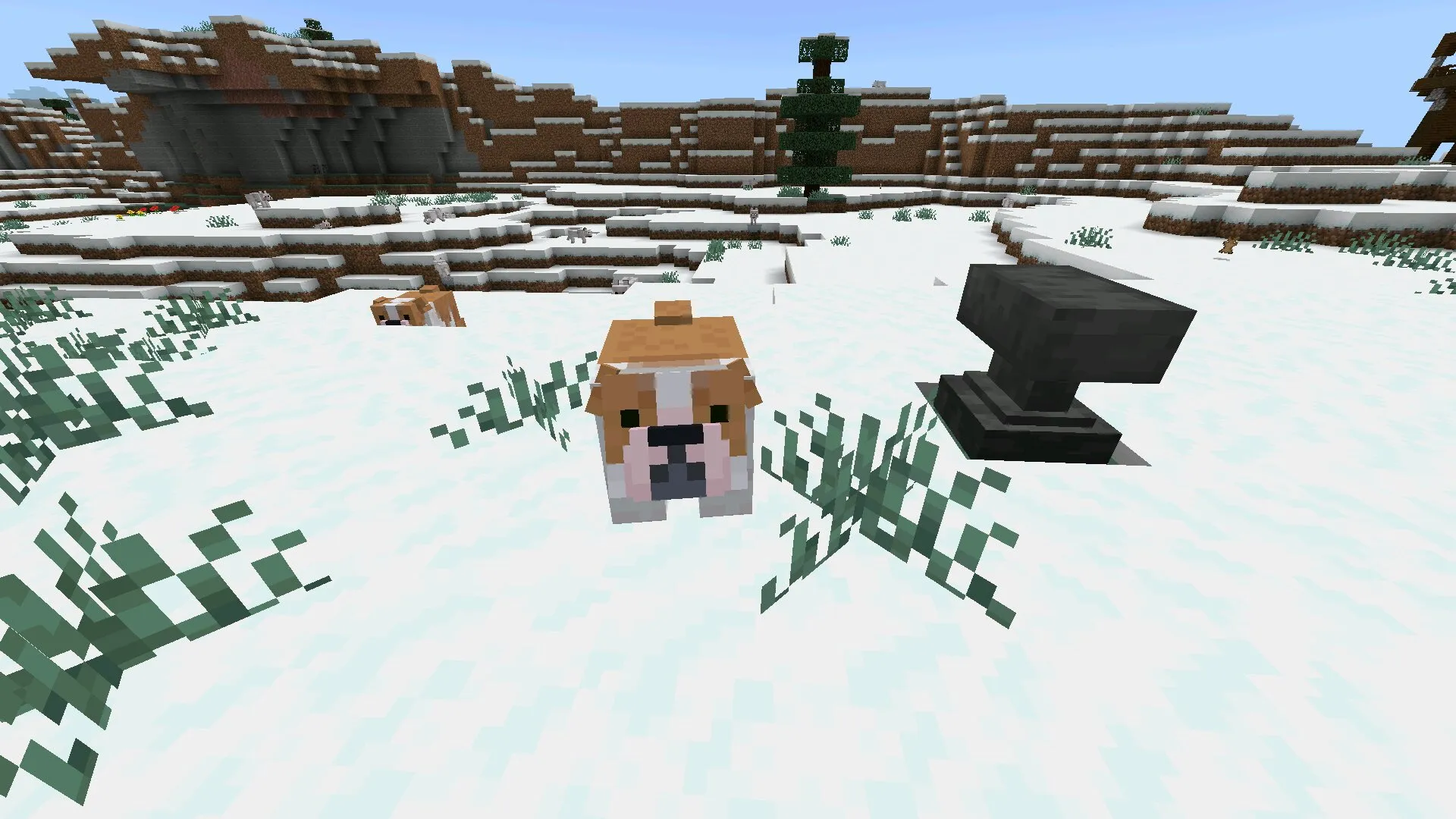 Моб с текстурой собаки в Майнкрафт ПЕ