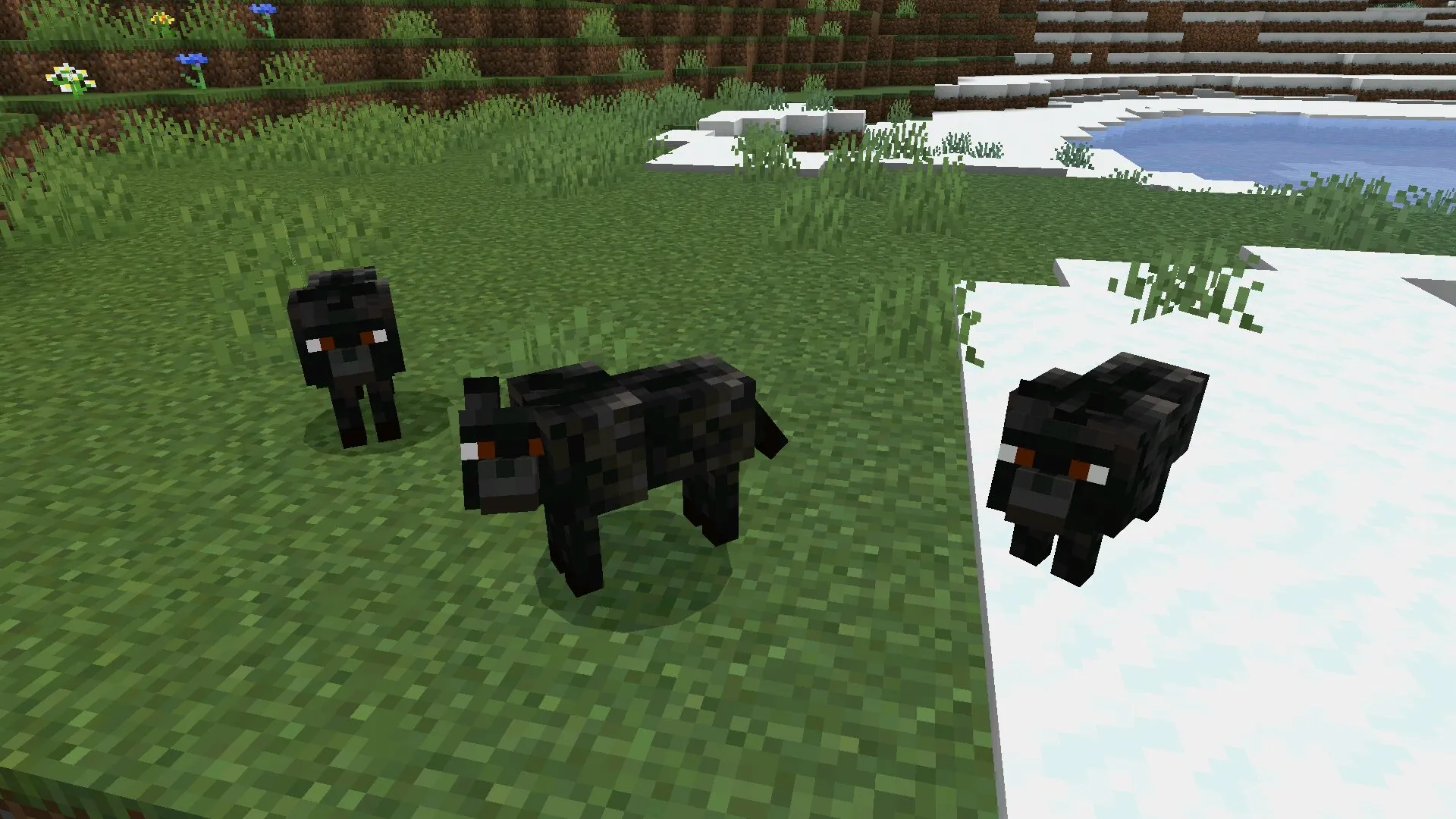 Песики с текстурой собаки в Майнкрафт ПЕ
