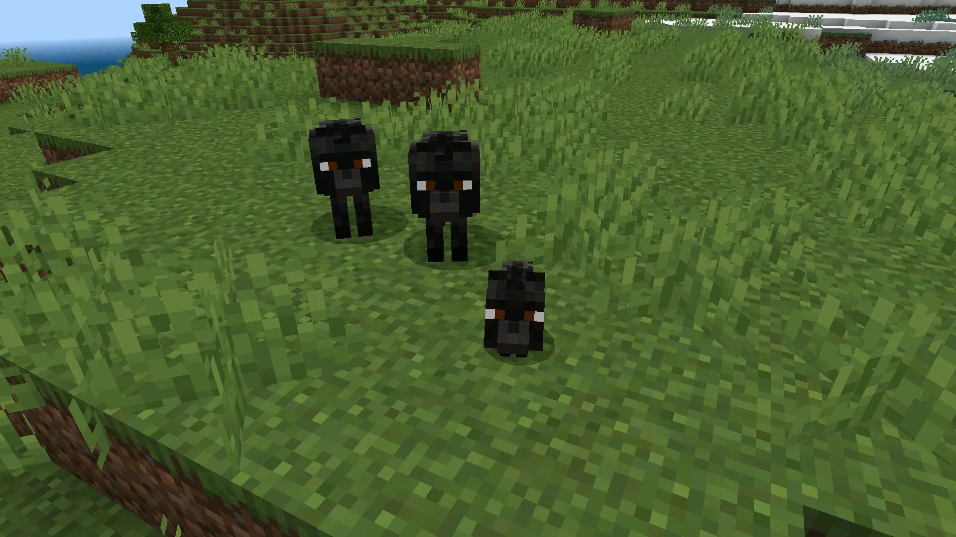 Собачья семья с текстурой собаки в Майнкрафт ПЕ