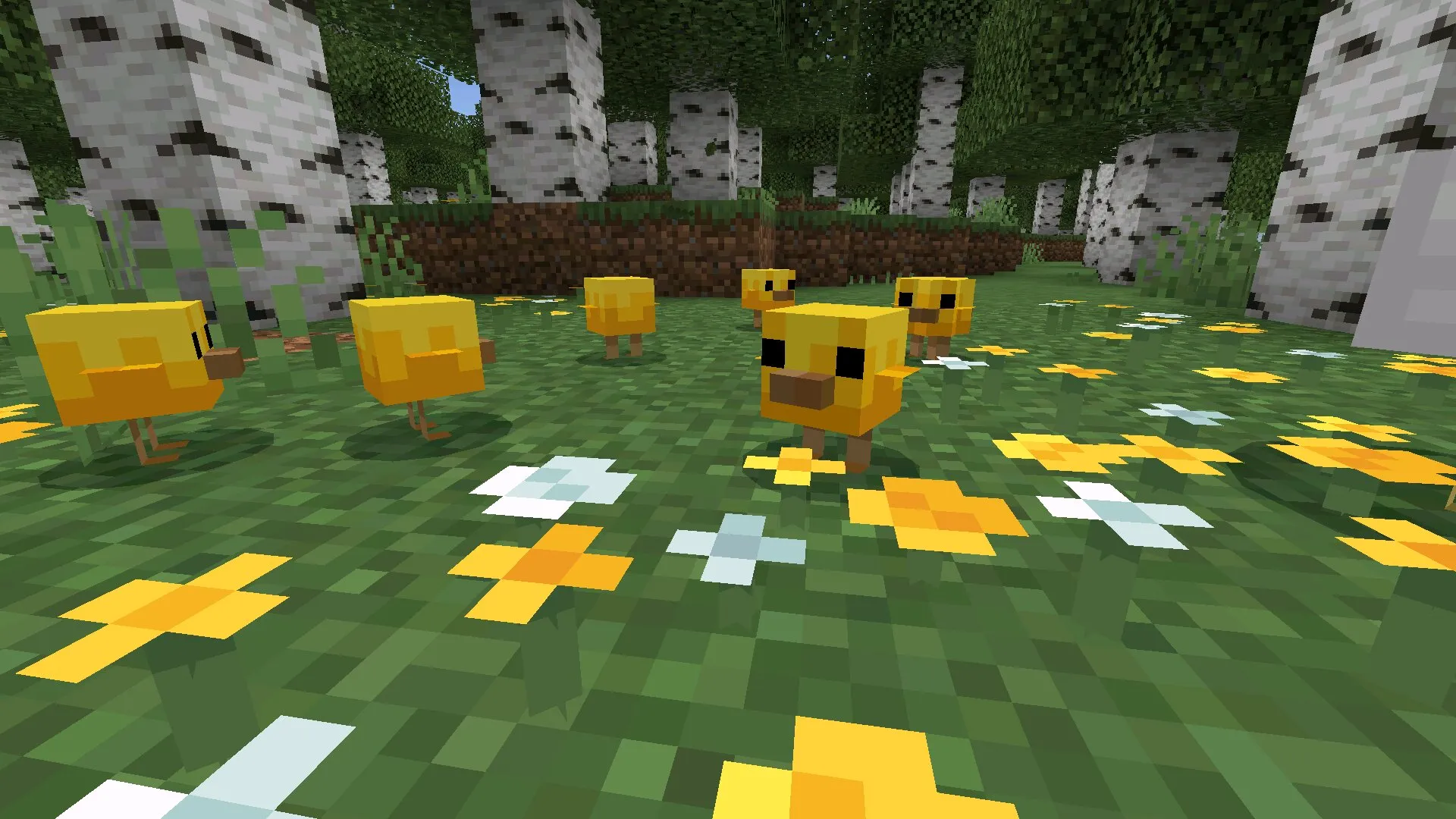 Цыплята из Майнкрафт 26