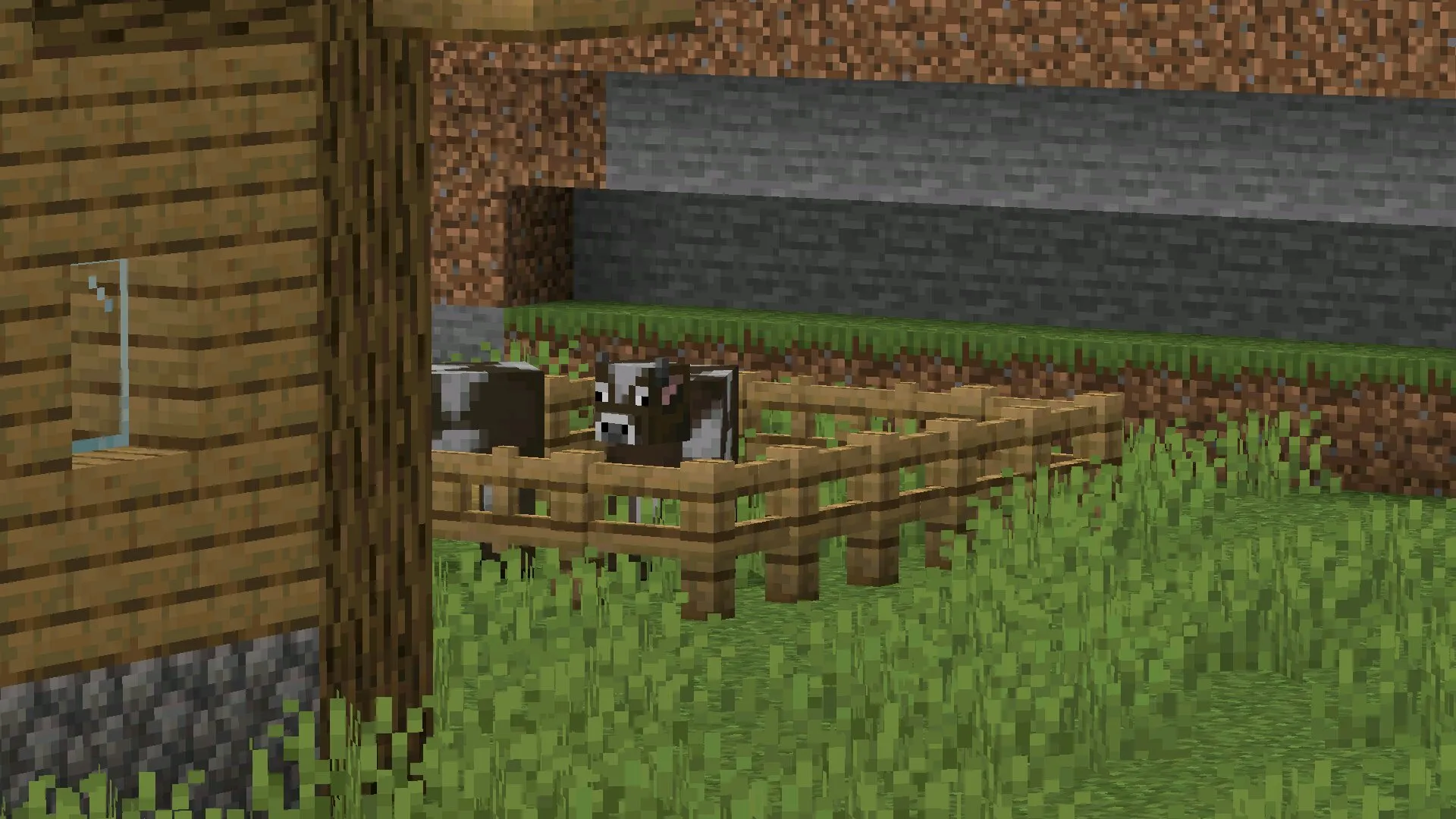 Коровы из мода на зум для Minecraft PE