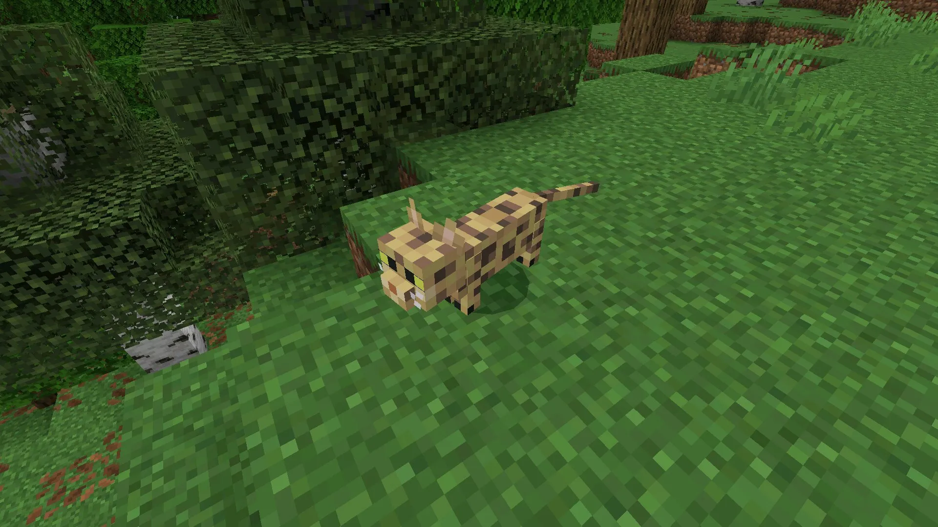 Друг из мода на кошек для Minecraft PE