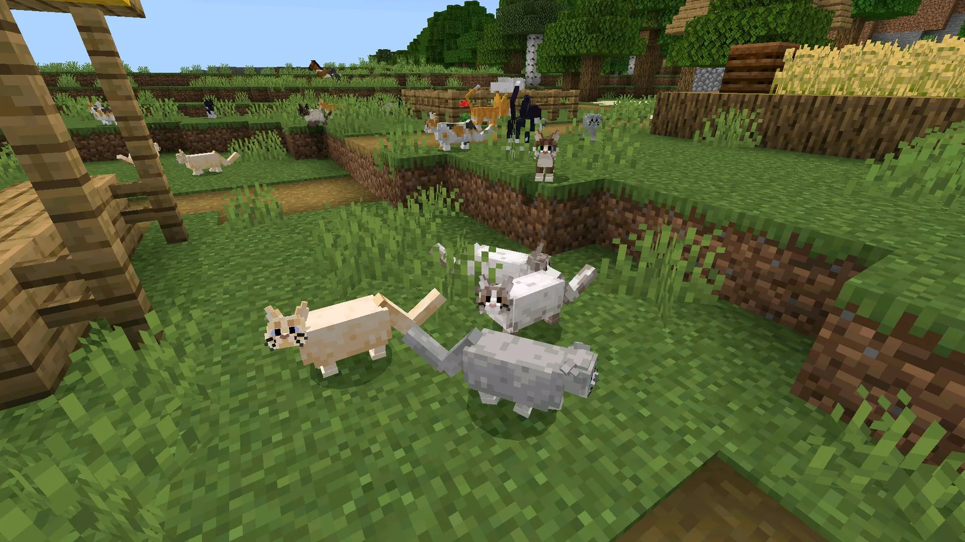 Много мобов из мода на кошек для Minecraft PE