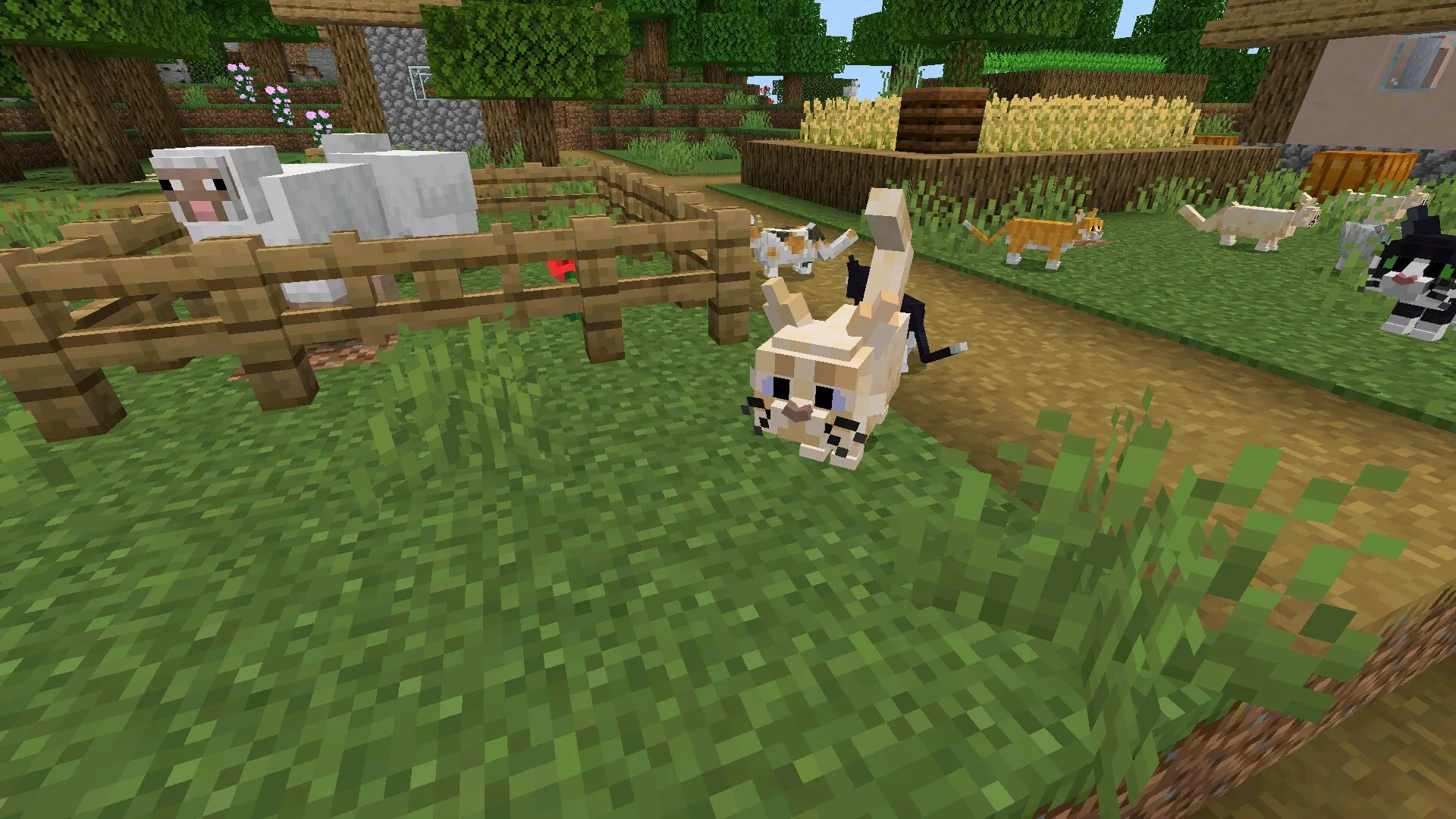 Моделька из мода на кошек для Minecraft PE