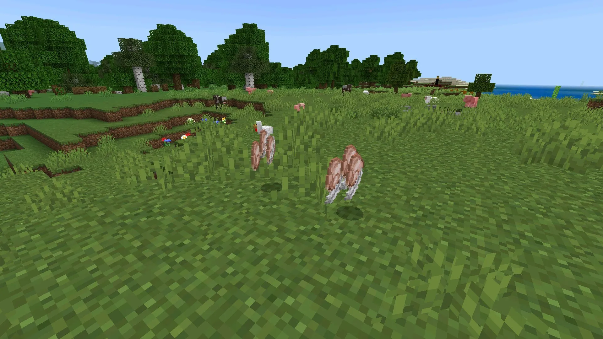 Мясо и перья из мода на Лут в Майнкрафт ПЕ