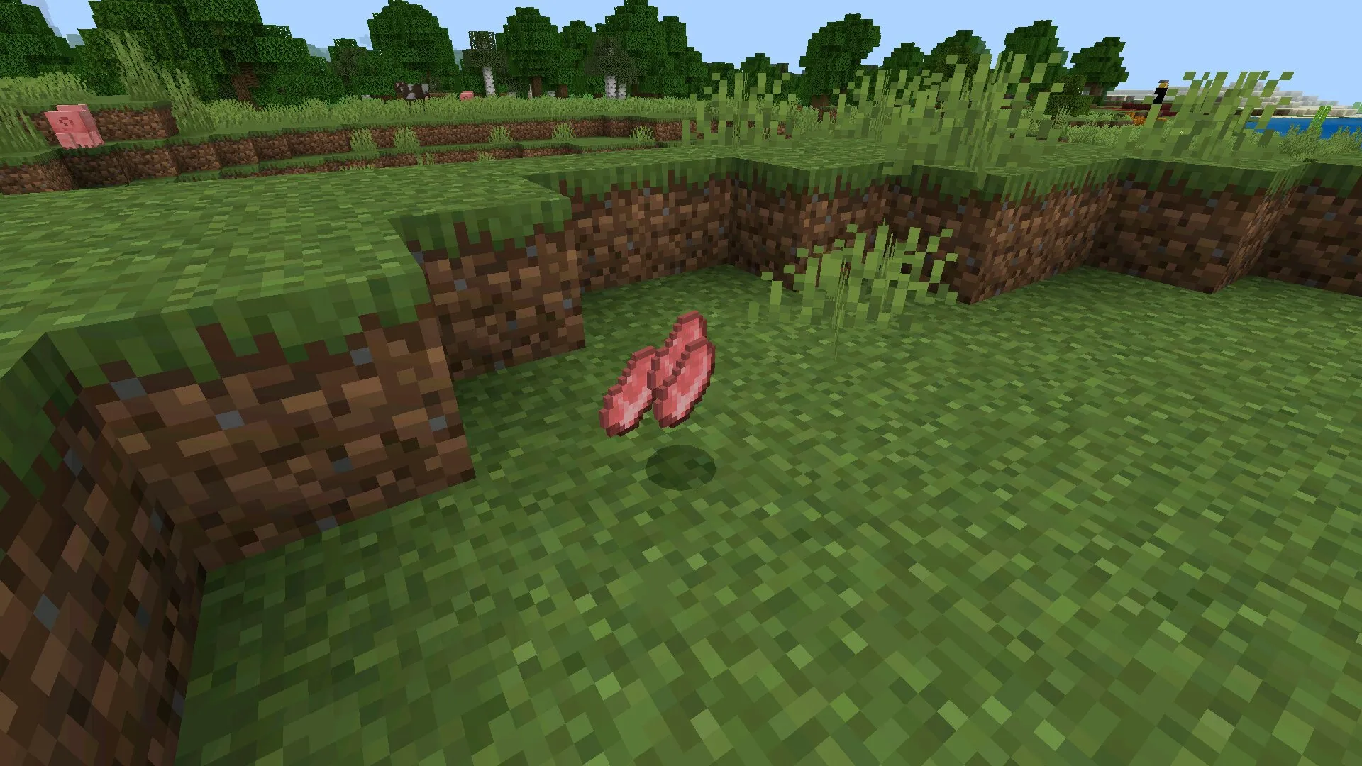 Мясо из мода на Лут в Майнкрафт ПЕ