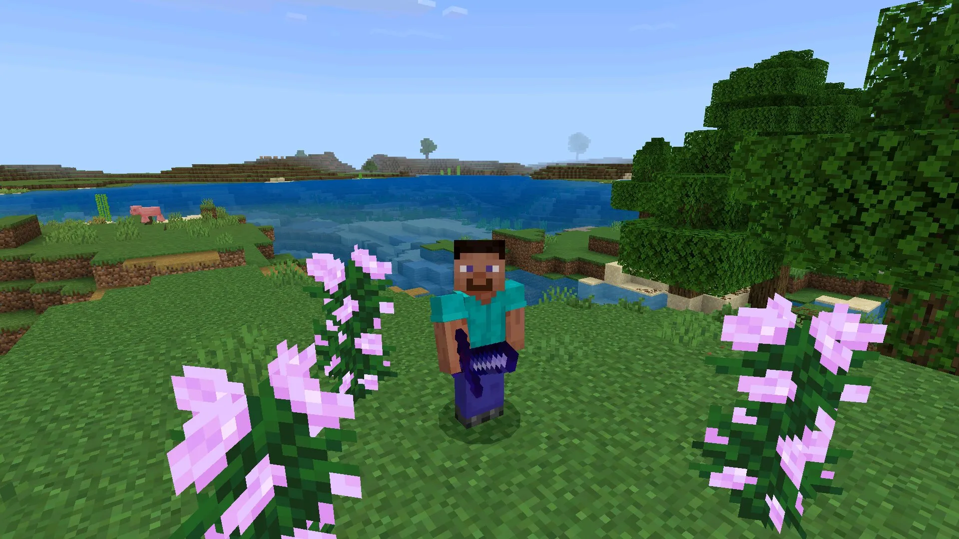 Стив из мода Экскалибур для Minecraft PE